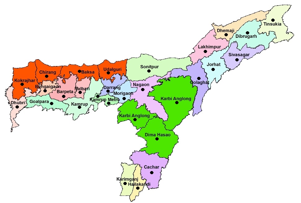 Assam PCD Pharma Company